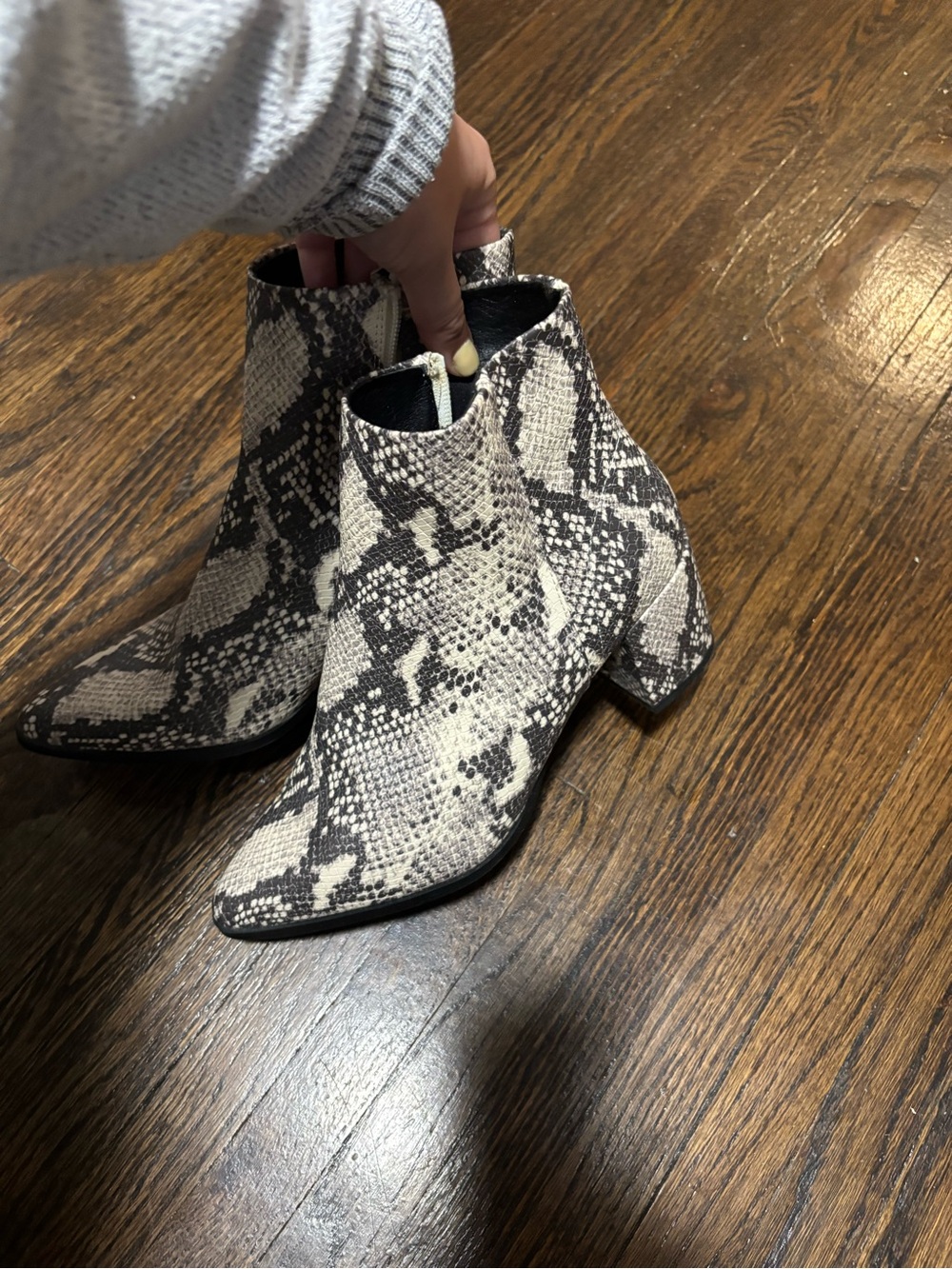 Madden Girl, NWOT Snake-Print Ankle Boots - Neutral Snake, Size 8M